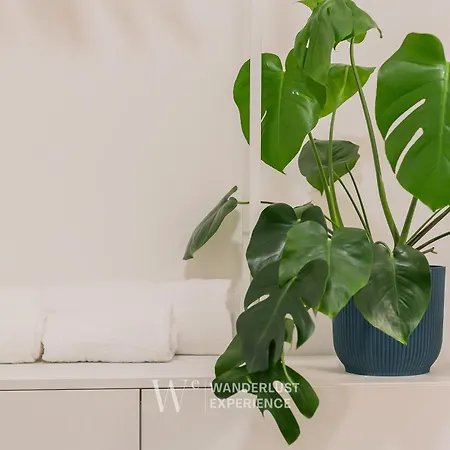 Wanderlust Experience Frankly Apartment