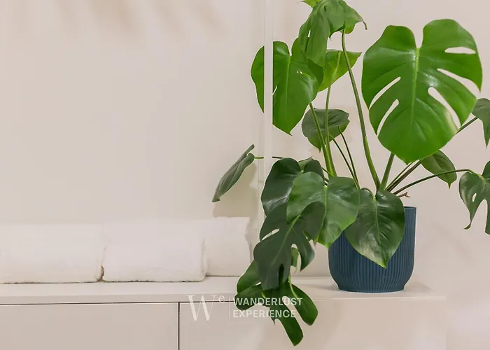 Wanderlust Experience Frankly Apartment